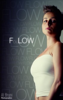 FolLow the Flow